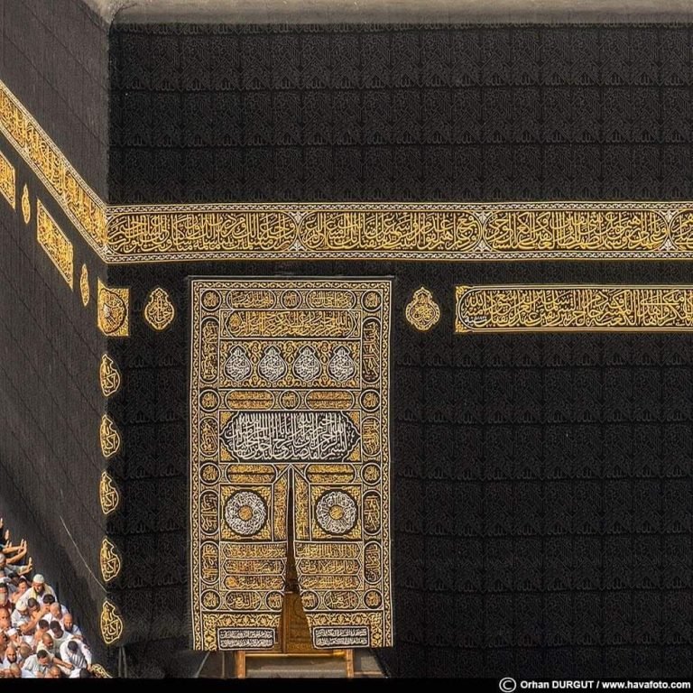 WhatsApp Image 2026-02-02 at 12.39.01 (2)